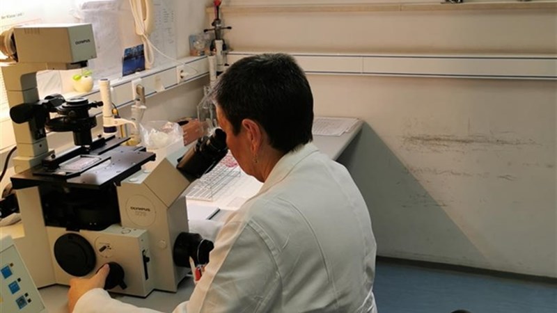 Uvedena metoda PCR-SSP u Laboratorij za tipizaciju tkiva Zavoda za transfuzijsku medicinu...