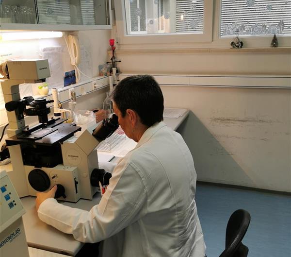 Uvedena metoda PCR-SSP u Laboratorij za tipizaciju tkiva Zavoda za transfuzijsku medicinu KBC-a Split