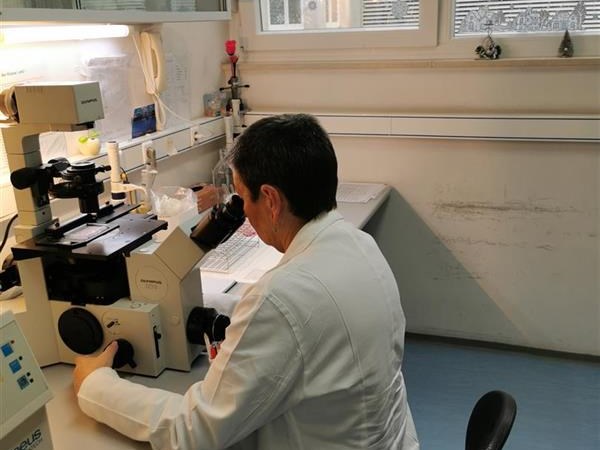 Uvedena metoda PCR-SSP u Laboratorij za tipizaciju tkiva Zavoda za transfuzijsku medicinu KBC-a Split
