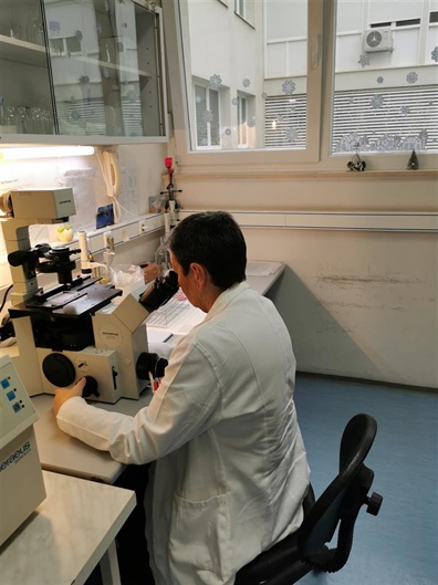 Uvedena metoda PCR-SSP u Laboratorij za tipizaciju tkiva Zavoda za transfuzijsku medicinu KBC-a Split