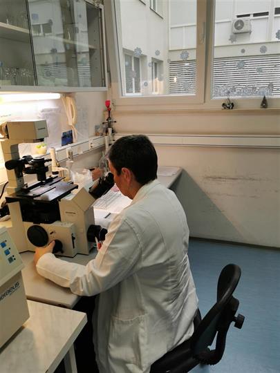 Uvedena metoda PCR-SSP u Laboratorij za tipizaciju tkiva Zavoda za transfuzijsku medicinu KBC-a Split