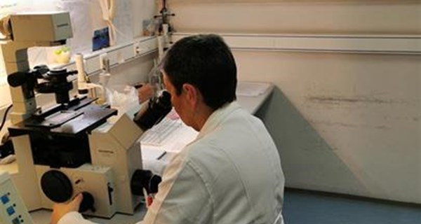 Uvedena metoda PCR-SSP u Laboratorij za tipizaciju tkiva Zavoda za transfuzijsku medicinu KBC-a Split