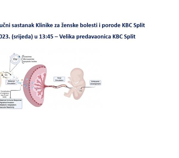 Egzosomi u perinatalnoj medicini