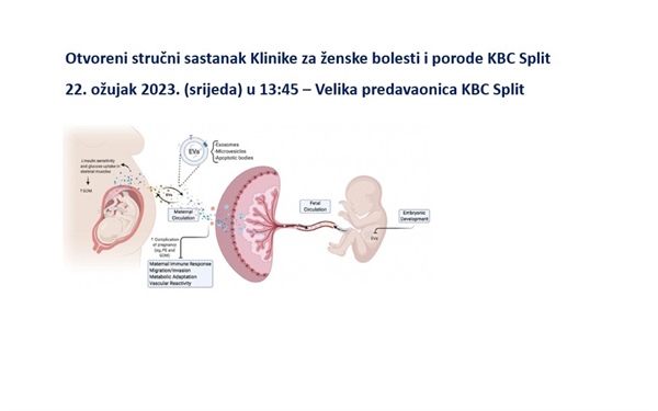 Egzosomi u perinatalnoj medicini