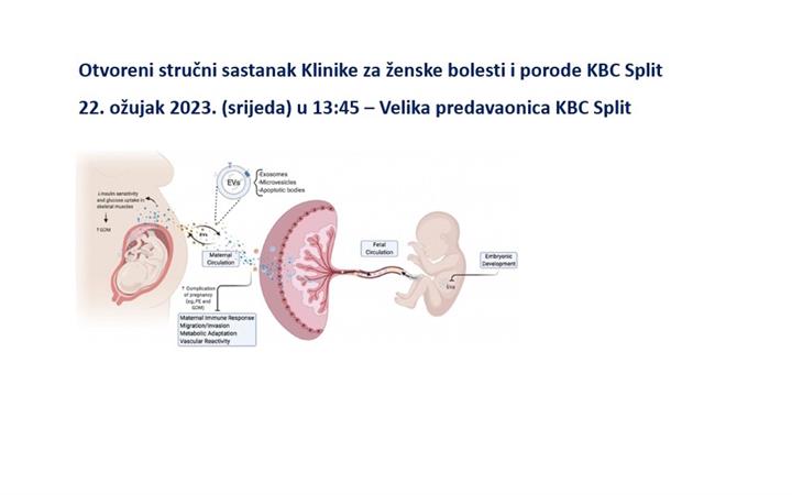 Egzosomi u perinatalnoj medicini