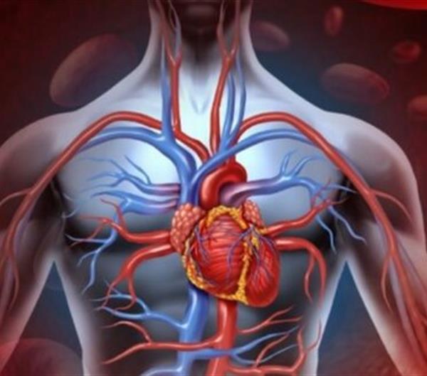 Otvorene dvije nove opće kardiološke ambulante