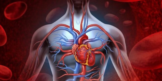 Otvorene dvije nove opće kardiološke ambulante