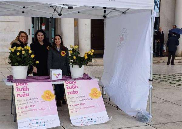Održana javno-zdravstvena akcija „Dani žutih ruža“