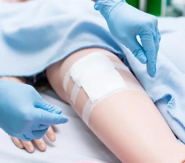 Stručni sastanak - Dan prevencije dekubitusa, 26. studenog 2024.