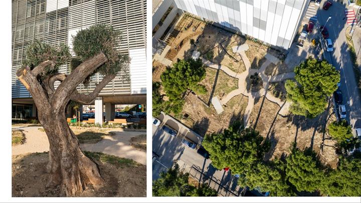 Postanite dio ‘Parka života’ splitske bolnice